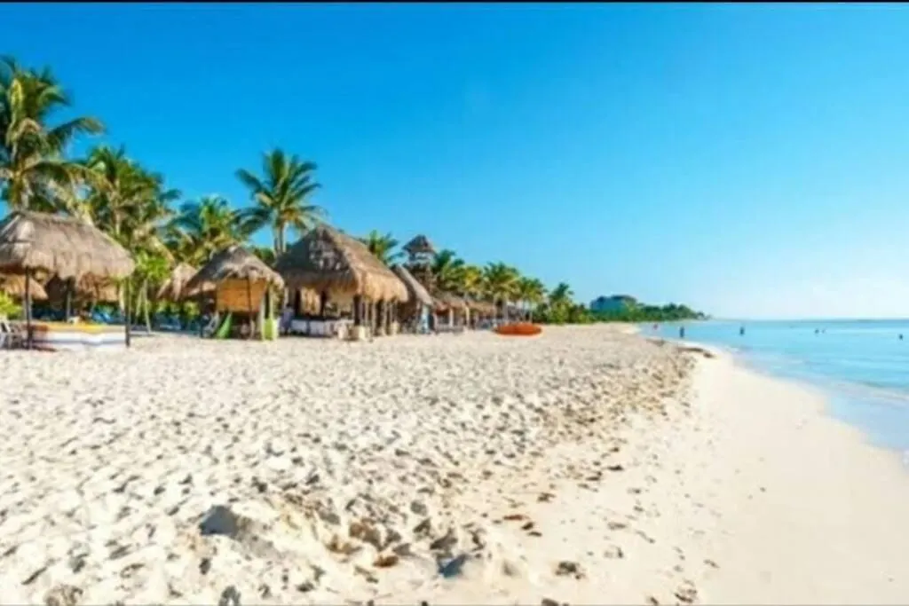 Daire Believe Estudio Nuevo Centro Playa Del Carmen